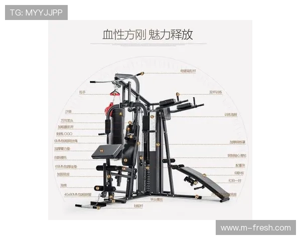 健身会所专用健身器材选型建议与配置方案分析 健身会所专用健身器材选型建议与配置方案分析