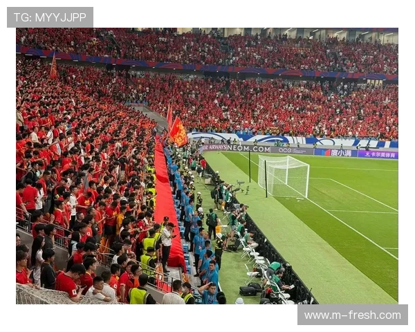 意甲球队降级后球迷泪崩事件回顾与情感共鸣