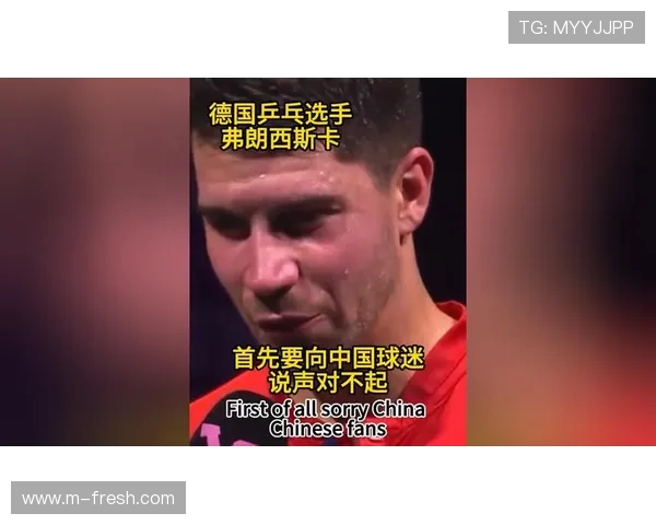 德甲球队球迷道歉视频合集：典型事件回顾
