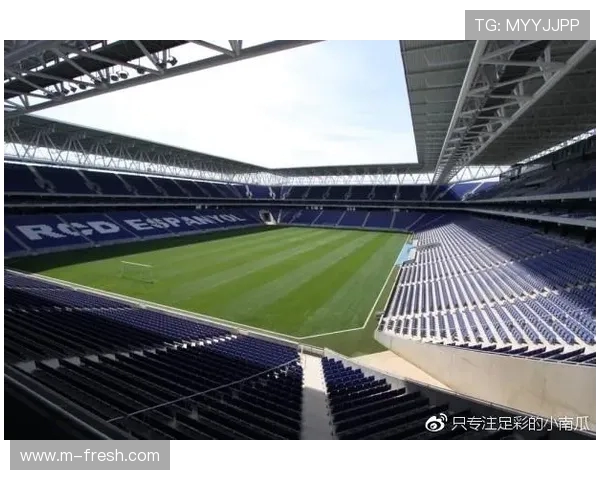 法甲各大球场安全保障机制与监管标准解析