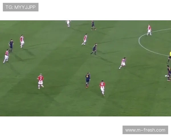 回望巴西2014世界杯的荣耀与遗憾历程十年风云变幻与足球记忆